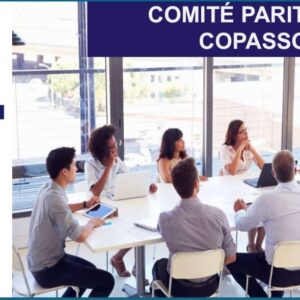 Comité Paritario de Seguridad y Salud