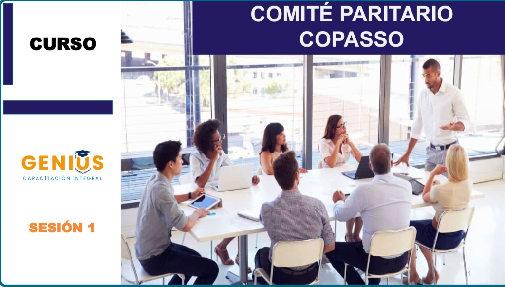 Comité Paritario de Seguridad y Salud