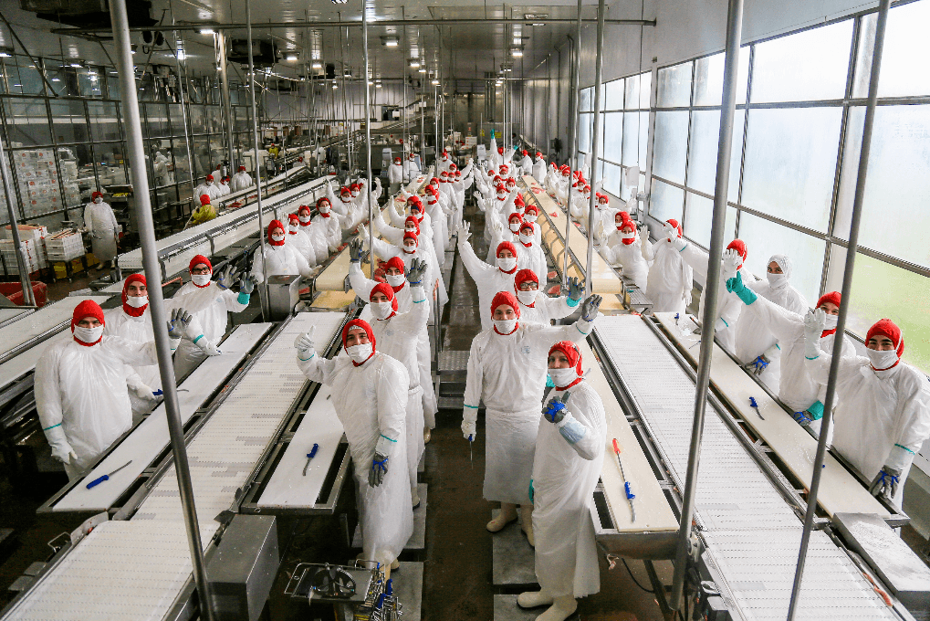 Buenas Prácticas de Manufactura en planta de alimentos